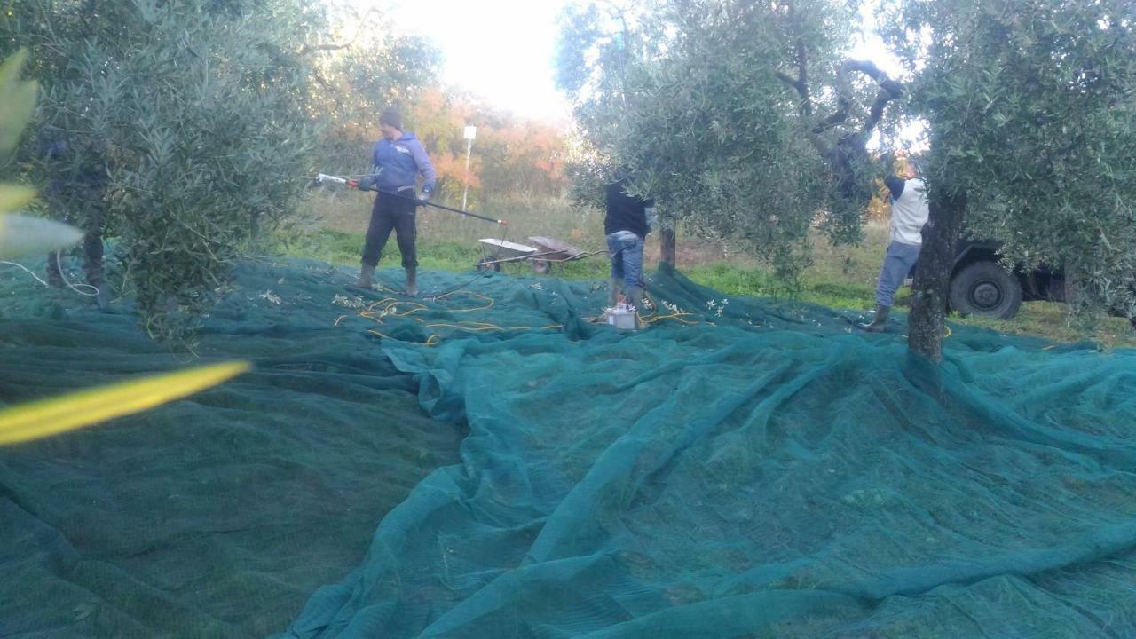 Baduerughe - Valledellago Poggio Mirteto Экстерьер фото